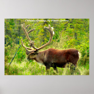 Weihnachtsgrüße Mein Jäger Sammler Poster
