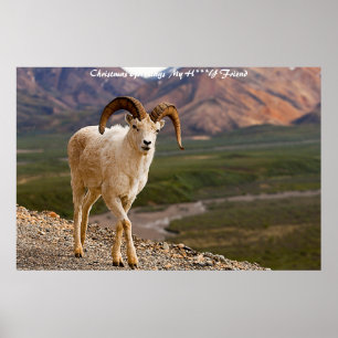 Weihnachtsgrüße Mein Liebling Poster