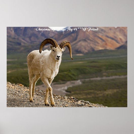 Weihnachtsgrüße Mein Liebling Poster (Vorne)