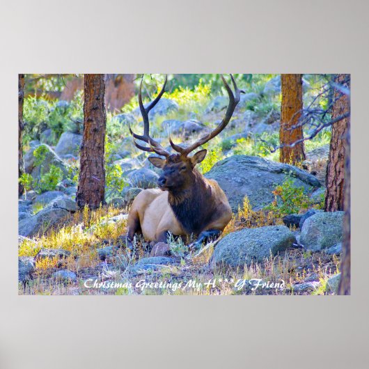 Weihnachtsgrüße Mein Liebling Poster (Vorne)