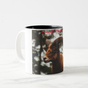 Weihnachtsgrüße Mein Liebling Zweifarbige Tasse