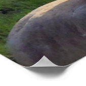 Weihnachtsgrüße meine Honigziege Poster (Ecke)