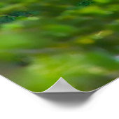 Weihnachtsgrüße meine Honigziege Poster (Ecke)