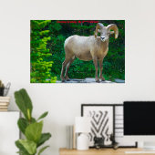 Weihnachtsgrüße meine Honigziege Poster (Heimbüro)