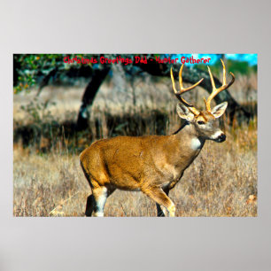 Weihnachtsgrüße Papa Jäger und Sammler Poster