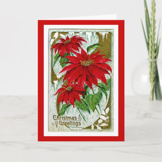 Weihnachtsgrüße Pointsettia Feiertagskarte (Vorderseite)