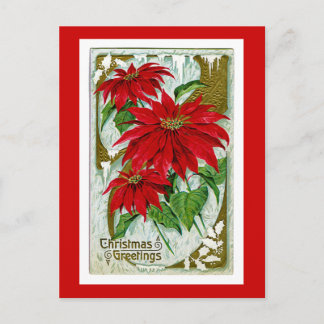 Weihnachtsgrüße Pointsettia Feiertagspostkarte