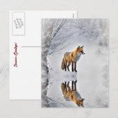 Weihnachtsgrüße und Schnee Weihnachtsfeiertag Feiertagspostkarte (Vorne/Hinten)