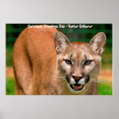 Weihnachtsgrüße Vater Hunter Gatherer Poster (Vorne)