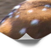 Weihnachtsgrüße Vater Hunter Gatherer Poster (Ecke)