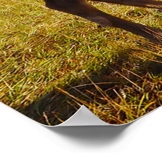 Weihnachtsgrüße Vater Hunter Gatherer Poster (Ecke)