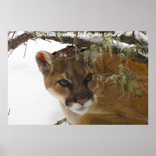 Weihnachtsgrüße Vater Hunter Gatherer Poster (Vorne)