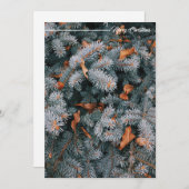 Weihnachtsgrußkarte Feiertagskarte (Vorne/Hinten)