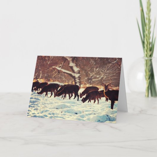 Weihnachtshändler Feiertagskarte (Vorderseite)