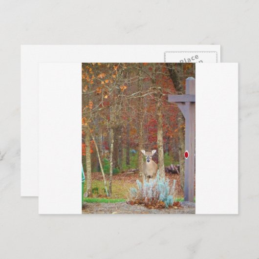 Weihnachtshändler Feiertagspostkarte (Vorne/Hinten)