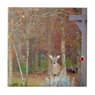 Weihnachtshändler Fliese