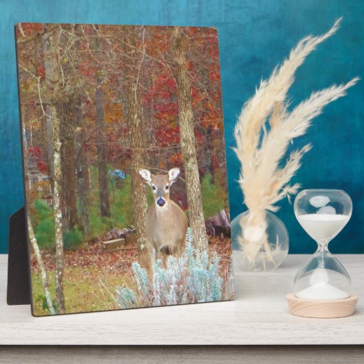 Weihnachtshändler Fotoplatte (Seite)