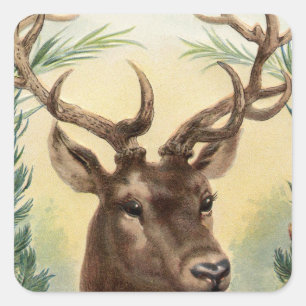 Weihnachtshirsch im Vintage-Stil Quadratischer Aufkleber