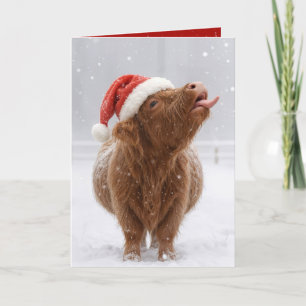 Weihnachtshochlandkuh fängt Schneeflocken Karte