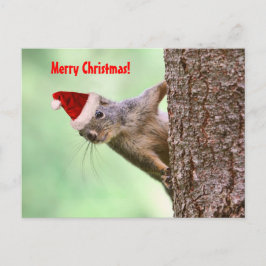 Weihnachtshörnchen auf einem Baum Feiertagspostkarte