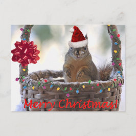 Weihnachtshörnchen im Korb mit Schnee Feiertagspostkarte