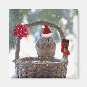 Weihnachtshörnchen in Snowy Basket Magnet