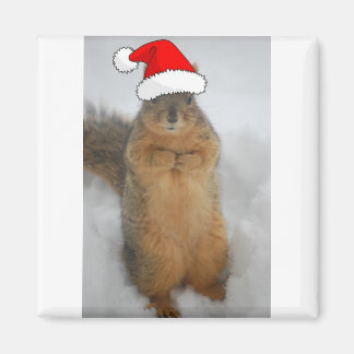 Weihnachtshörnchen mit dem Weihnachtsmann Magnet
