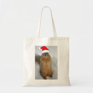 Weihnachtshörnchen mit dem Weihnachtsmann Tragetasche