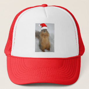 Weihnachtshörnchen mit dem Weihnachtsmann Truckerkappe