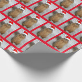 Weihnachtshörnchen mit Weihnachtsmannmütze Geschenkpapier (Ecke)