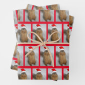 Weihnachtshörnchen mit Weihnachtsmannmütze Geschenkpapier Set (Beispiel)