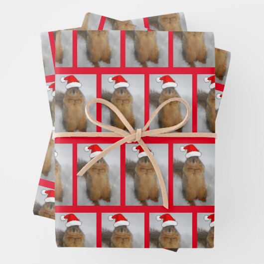 Weihnachtshörnchen mit Weihnachtsmannmütze Geschenkpapier Set (Beispiel)