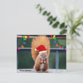 Weihnachtshörnchen Postkarte (Stehend Vorderseite)