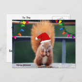 Weihnachtshörnchen Postkarte (Vorne/Hinten)