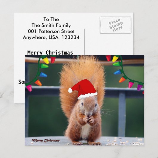 Weihnachtshörnchen Postkarte (Vorne/Hinten)