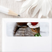 Weihnachtshörnchenkarte (Insitu)