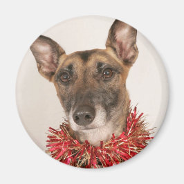 Weihnachtshund 1 magnet