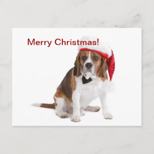 Weihnachtshund Feiertagspostkarte