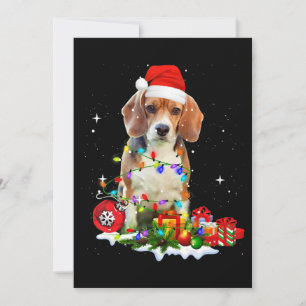 Weihnachtshund für Hunde Vater Hunde Mama Ankündigung