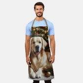 Weihnachtshund Golden Retriever Schürze (Getragen)