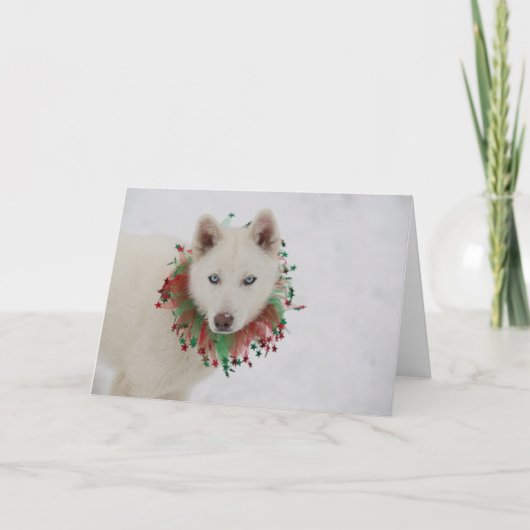 Weihnachtshund Karte (Vorderseite)