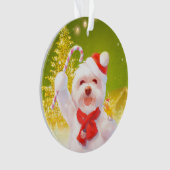 Weihnachtshund mit Candy Cane Ornament (Vorderseite)