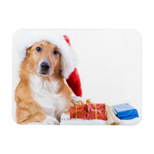 Weihnachtshund mit viel Liebe und bunten Geschenke Magnet