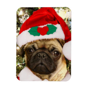 Weihnachtshund Mops Magnet