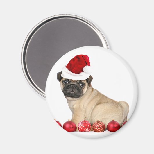 Weihnachtshund Mops Magnet (Vorderseite/Rückseite)