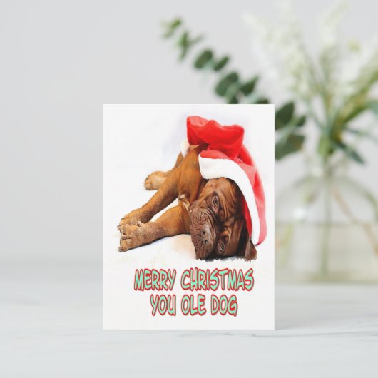 Weihnachtshund Postkarte (Stehend Vorderseite)