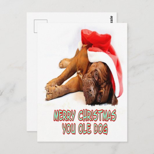 Weihnachtshund Postkarte (Vorne/Hinten)