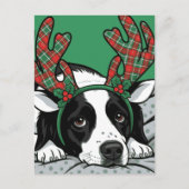 Weihnachtshund Postkarte (Vorderseite)