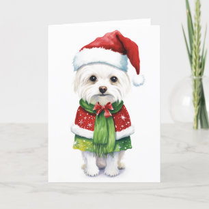 Weihnachtshund, Santa Dog Niedlicher Welpe BLANK U Feiertagskarte
