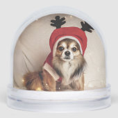 Weihnachtshund Snow Globe Schneekugeln (Vorderseite)